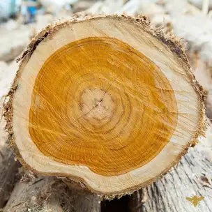 Teakwood Soy Wax Melt