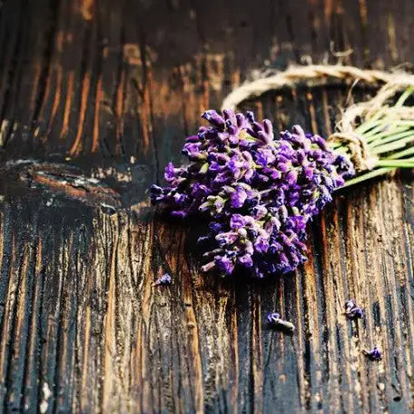 Black Amber & Lavender Soy Candle